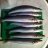KG Whiting