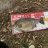 Silver Perch