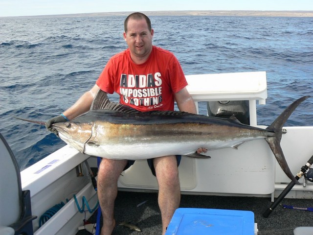 My First Marlin Fishing Fishwrecked Fishing WA Fishing