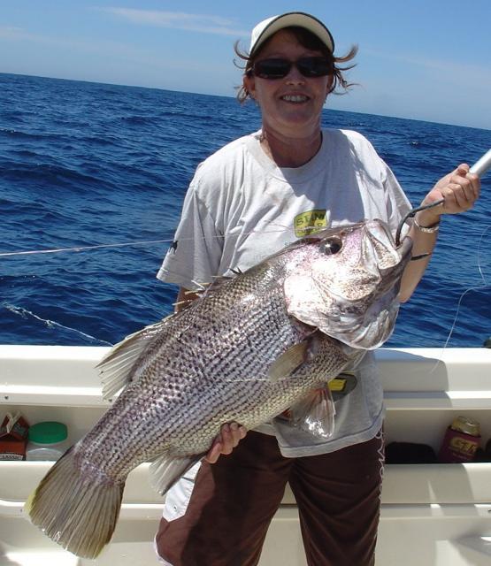 Julies 8kg Dhuie Julies 8kg Dhuie