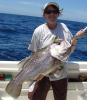 Julies 8kg Dhuie Julies 8kg Dhuie
