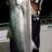 Another big Kingfish
