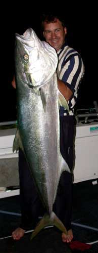 Another big Kingfish