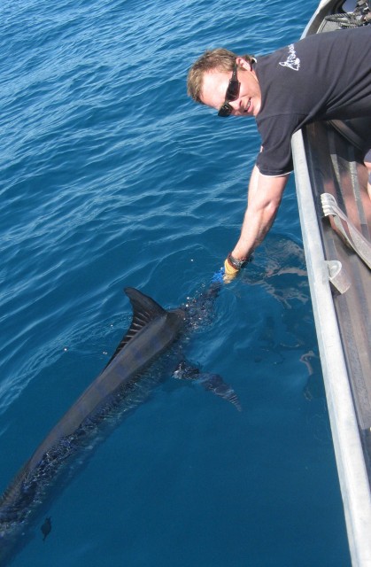 Poida S First Marlin 1 Fishing Fishwrecked Fishing WA