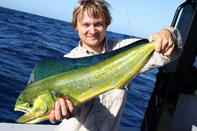 Shimano Tyrnos - Tuna fishing Wahoo Sailfish Big game bluefin