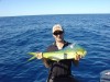 Small Dolphinfish