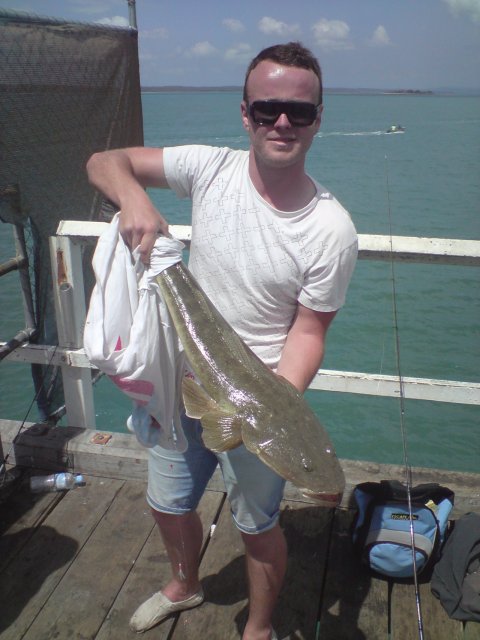 Monster flathead (Hervey Bay jetty)