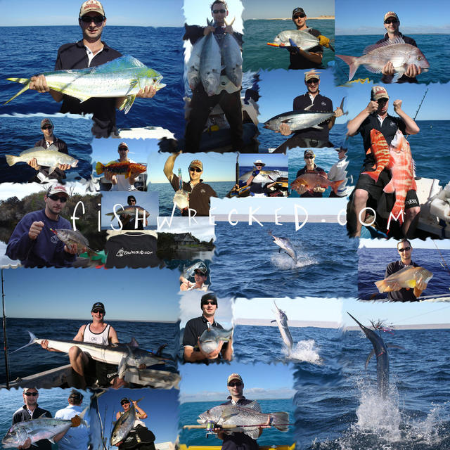 Montage of fish from this year