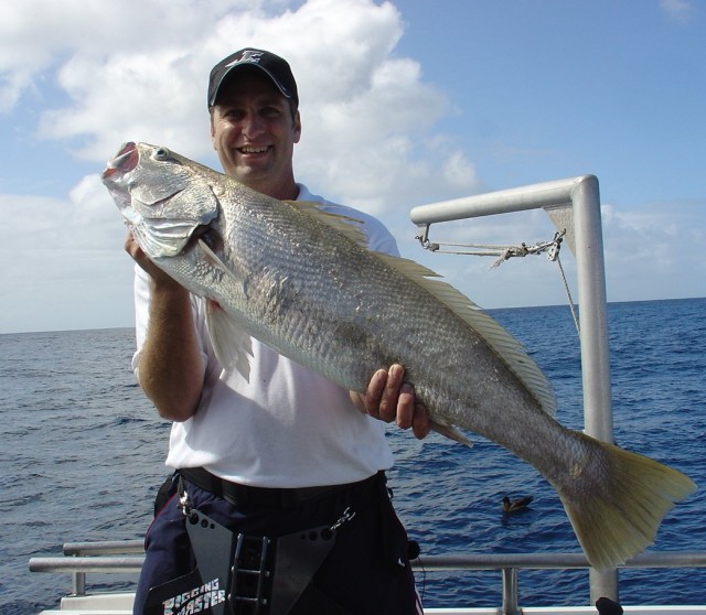 Mulloway for Andrew