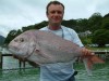 Pink Snapper