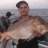 yesterdays pink on jig