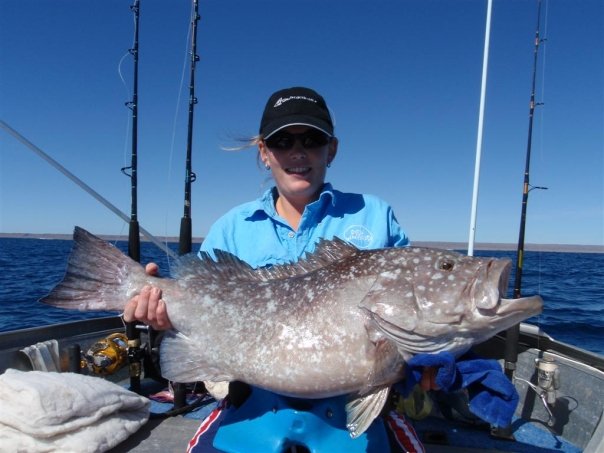 Renae's Rankin Cod