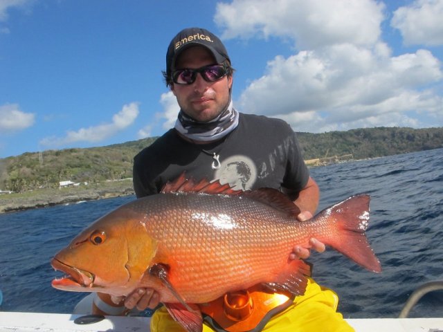 red bass on popper