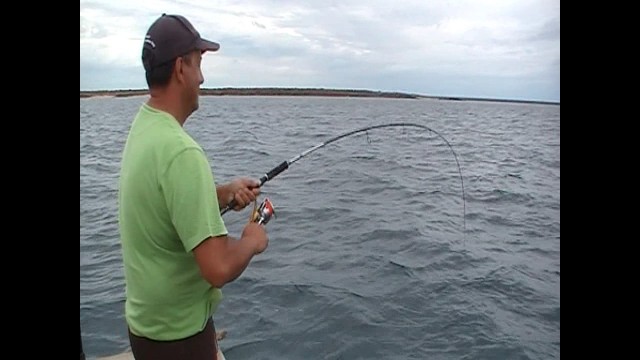 Shimano Jewel, What a Rod!!!!  Fishing 