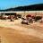 Walpole Salmon Camp -1980