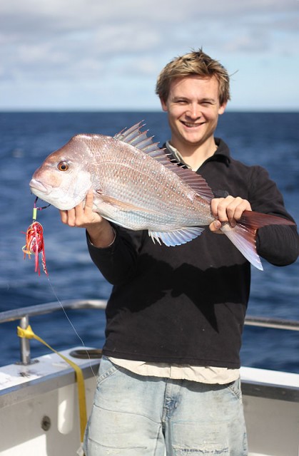 Snapper on octa