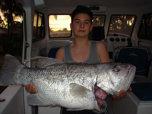 Another solid dhuie