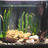 My fishtank