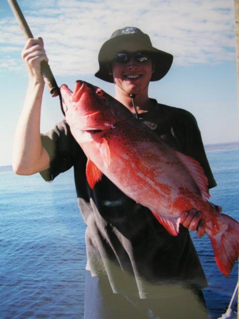 Old coral trout photo