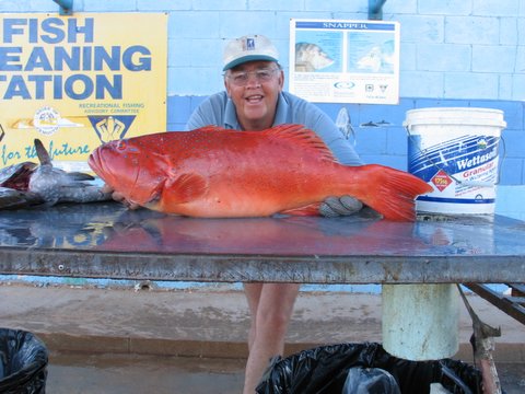 Coral Trout