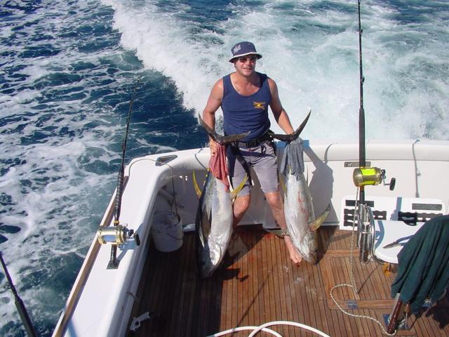 Yellowfin Tuna Abrolhos