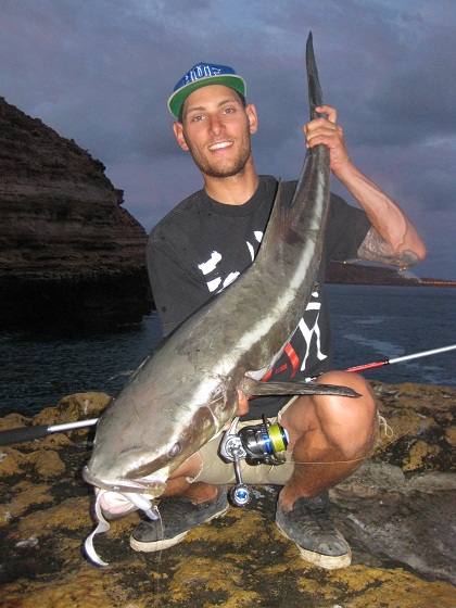 Zman Eating Cobia