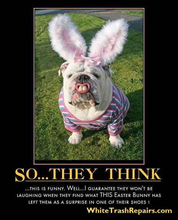 Friday Funnys HAPPY EASTER | Fishing - Fishwrecked.com - Fishing WA