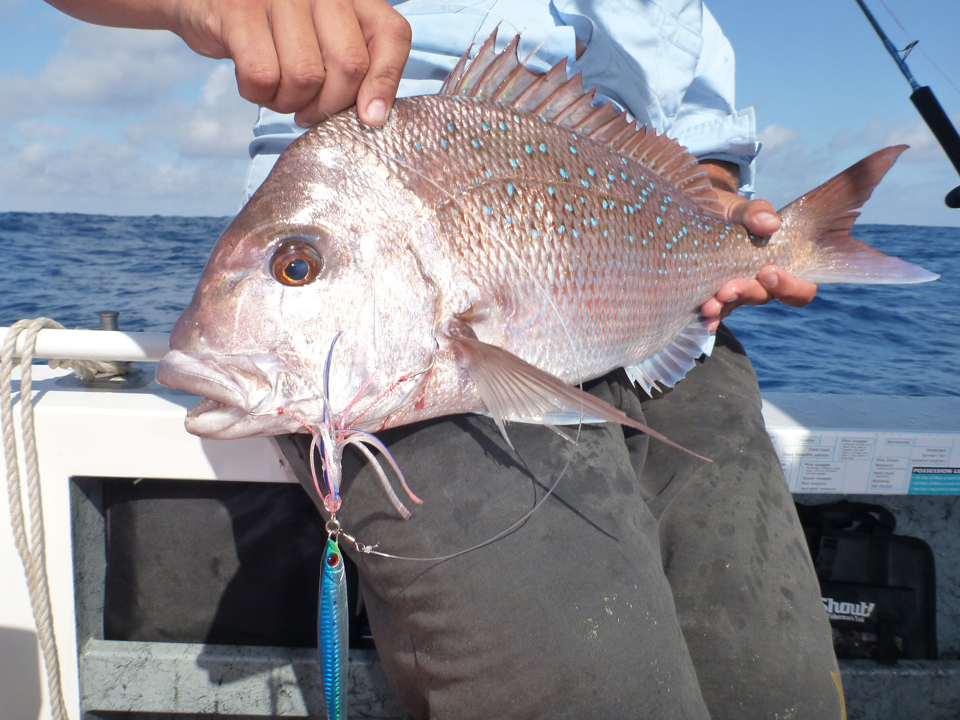 leeman-green-head-fishing-fishwrecked-fishing-wa-fishing